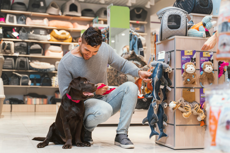 Concorrente no pet shop: como analisar preços e serviços